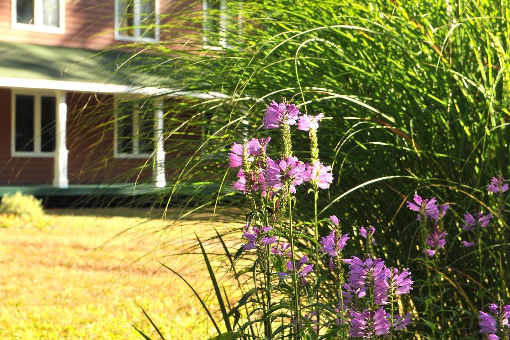 Bass Manor Bed And Breakfast & Art Museum 몰타 외부 사진
